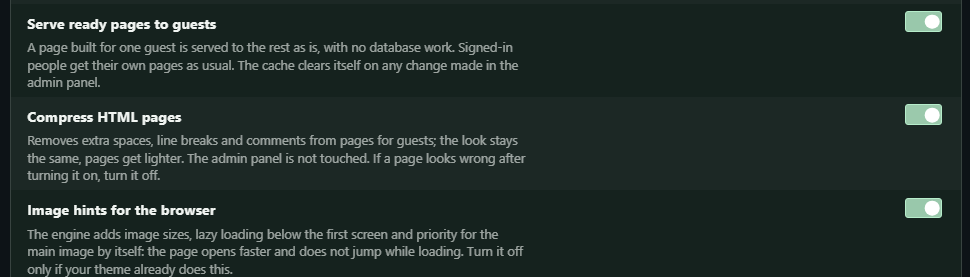 “Speed and upkeep” settings: ready pages, HTML compression and image hints